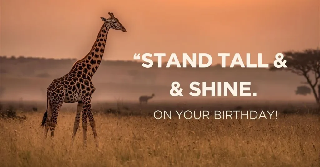 Animal Party Mix Giraffe Birthday Puns