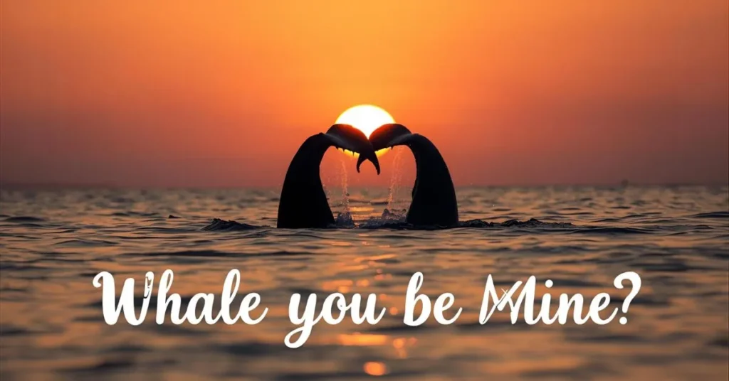 Romantic Whale Puns One Liners